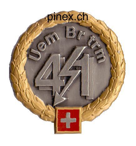 Picture of Übermittlungsbrigade 41 GOLD Béretemblem