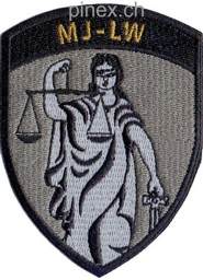 Immagine di Badge Militärjustiz Luftwaffe ohne Klett 