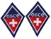 Picture of Branches of the OSCE Insignia