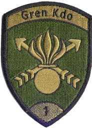 Immagine per categoria Distintivi dell Esercito svizzero