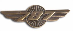 Picture of Boeing 787 Wings Pin 39mm