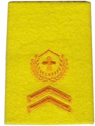 Image de Sergent-major insigne de grade de troupes blindée,  prix pour 1 pièce
