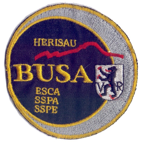 Picture of BUSA Herisau Abzeichen