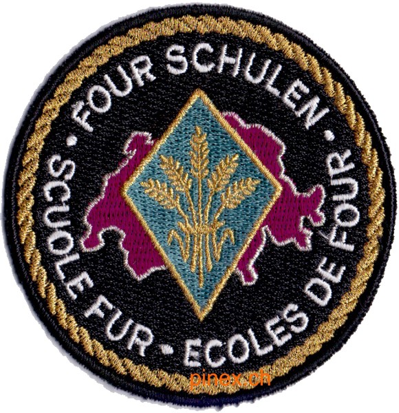 Picture of Fourier Schulen Schulbadge Armee 95