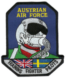 Picture of Austrian Air Force Pilot Abzeichen