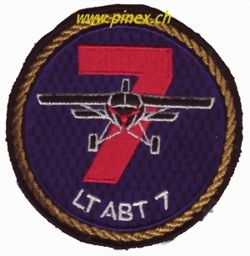 Immagine di Luftransportabteilung Lt Abt 7 Armee 95 Luftwaffen Abzeichen