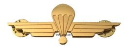Immagine di Fallschirmaufklärer Wings Schweizer Luftwaffe