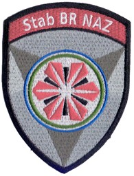 Immagine di Stab BR NAZ Bundesrat Nationale Alarmzentrale Badge Armee 21 ohne Klett