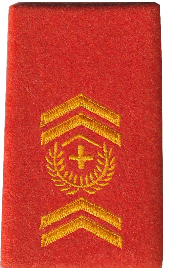 Immagine di Stabsadjutant Rangabzeichen Schulterpatte Territorialdienst. Preis gilt für 1 Stück 