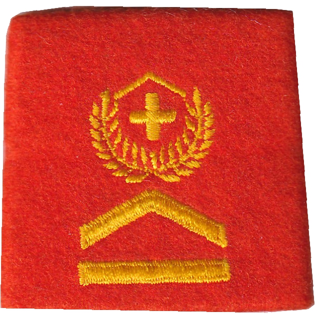 Bild von Oberwachtmeister Rangabzeichen Schulterpatte Territorialdienst. Preis gilt für 1 Stück 