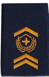Immagine di Adjutant Unteroffizier Schulterpatten Luftwaffe. Preis gilt für 1 Stück 