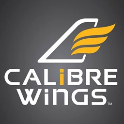 Afficher les images du fabricant Calibre Wings maquette d'avions en metall