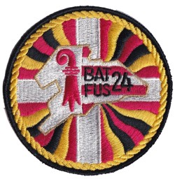 Image de Bat Fus 24 gelb Armee 95 Badge