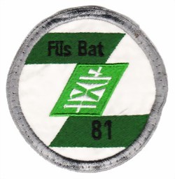 Image de Füs Bataillon 81  Rand grün