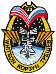 Immagine di ISS 5 Missions Abzeichen 