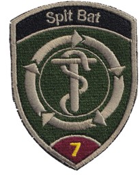 Picture of Spit Bat 7 Spital Bataillon 7 violett mit Klett Armeebadge