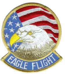 Immagine di F15 Eagle Flight Aufnäher Abzeichen 