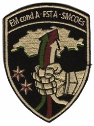 Picture of EM cond A FSTA SMCOEs Armee 21 Badge mit Klett Führungsstab der Armee