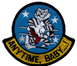 Picture of F 14 Tomcat Anytime Baby  