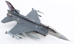 Picture of F-16D Silver Jubilee of Peace Carvin Training. Metallmodell 1:72 Hobby Master HA38025. 