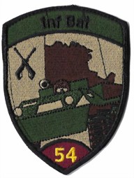 Picture of Inf Bat 54 violett mit Klett Infanteriebadge