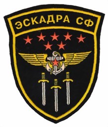 Bild von Geschwaderabzeichen Marineflieger Russland