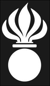 Bild von Grenadier Abzeichen "Grenibömbeli"