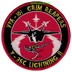 Picture of VFA-101 Grim Reapers F-35C Lightning II