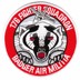 Picture of 176 Fighter Squadron Abzeichen 