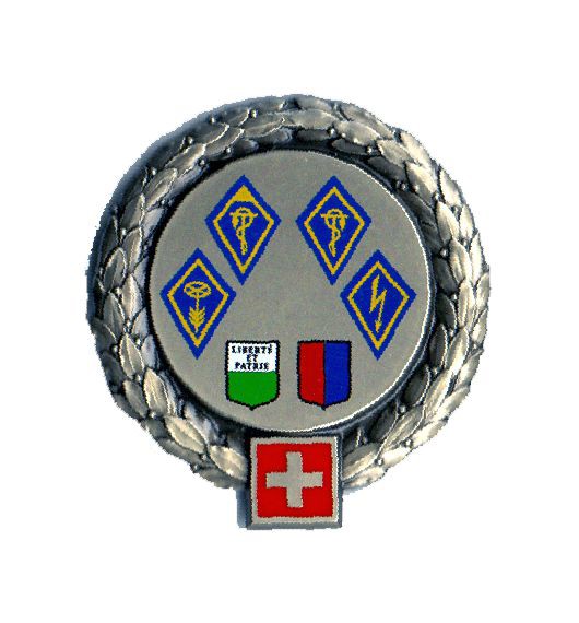 Bild von Spitalschule Moudon-Losone 67/267 Beret Emblem