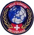 Bild von Peace Support Switzerland gold  80mm Armeeabzeichen