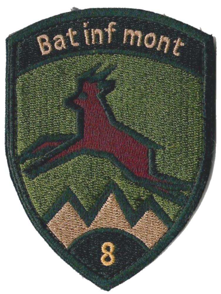 Bat Inf mont 8 schwarz Badge Armee 21 mit Klett