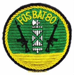 Bild von Füs Bat 80 gelb Infanterieabzeichen 