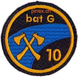 Bild von Genie Bataillon 10 Armee 95 Abzeichen