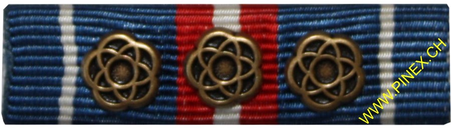 Bild von Auszeichnung für 350 Diensttage Bronze Armee 21 Ribbon