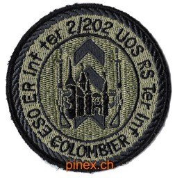 Bild von UOS RS Ter Inf Colombier Badge Armee 95
