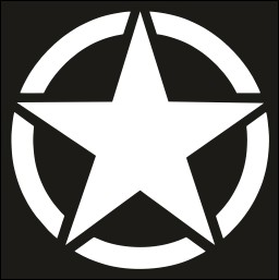 Picture of US Army Star Sticker