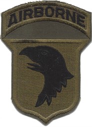 Bild von 101st Airborne Screaming Eagles Abzeichen Version C