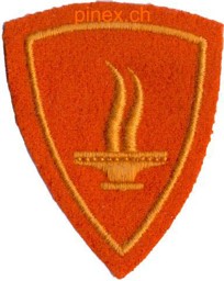 Bild von Fürsorgedienst Spezialistenabzeichen Schweizer Armee