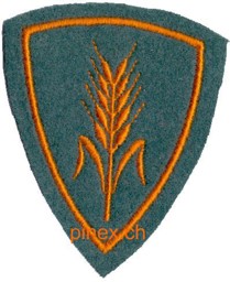 Bild von Quartiermeister Typ 1 Spezialistenabzeichen Schweizer Armee