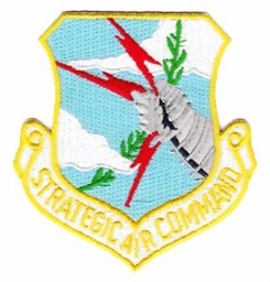 Bild von SAC Strategic Air Command Abzeichen US Air Force
