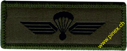 Bild von Fallschirmaufklärer Abzeichen 