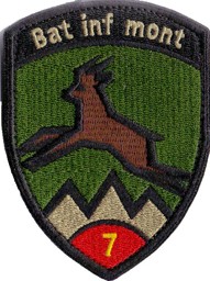 Bild von Bat Inf mont 7 rot mit Klett Armeeabzeichen