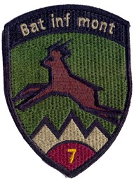 Bild von Bat Inf mont 7 violett mit Klett Infanteriebadge