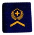 Image de Sergent insigne de grade passants d'épaule forces aériennes suisse, prix pour 1 pièce