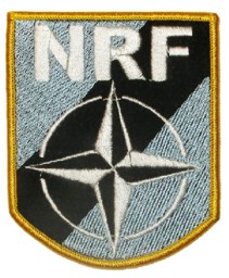 Bild von NRF Nato Reaction Force Abzeichen