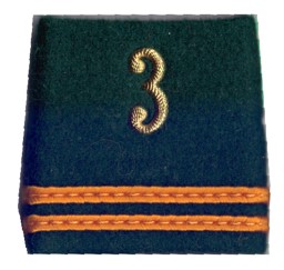 Immagine di Oberleutnant Gradabzeichen Schulterpatten Infanterie 3. Preis gilt für 1 Stück 
