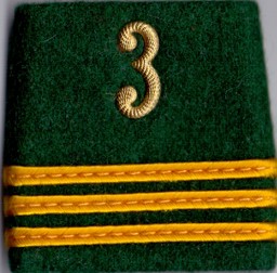 Immagine di Hauptmann Gradabzeichen Patten Infanterie 3. Preis gilt für 1 Stück 