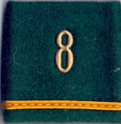 Immagine di Leutnant Gradabzeichen Patten Infanterie. Preis gilt für 1 Stück 