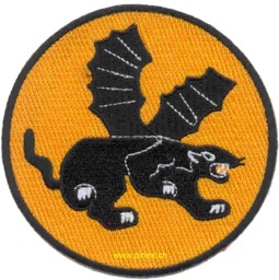 Bild von 541st Airborne Infantry Regiment Abzeichen WW2